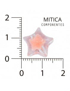 CCB Estrella Salmón...