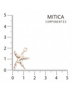 Fundición Dorado Estrella...