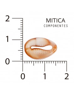 Búzios de Plástico...