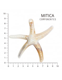 Estrella de Mar de Plástico...