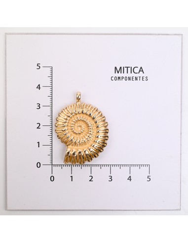 Fundición en Forma de Caracol Dorado...