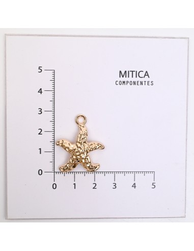 Fundición en Forma de Estrella de Mar...