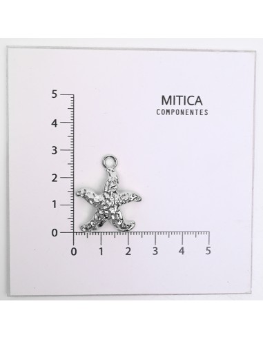 Fundición en Forma de Estrella de Mar...