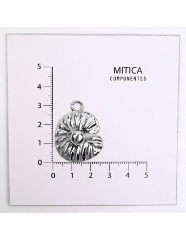 Fundición en Forma de Caracol Níquel...