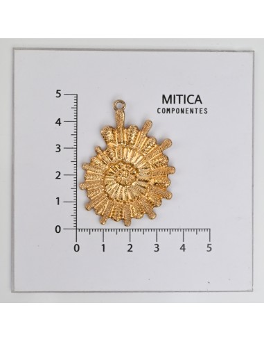 Fundición en Forma de Caracol Dorado...