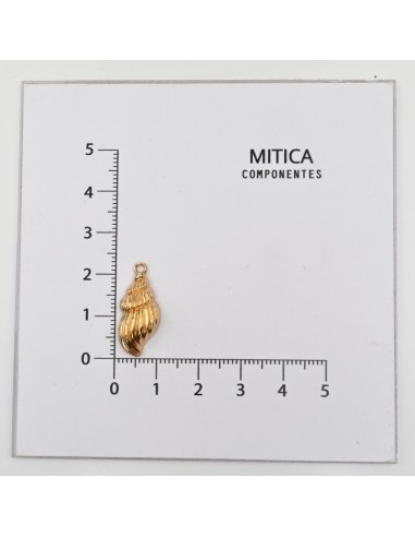 Fundición en Forma de Caracol Dorado...