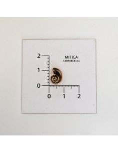 Caracol Esmaltado...